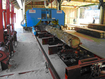 linija.jpg linija.jpg